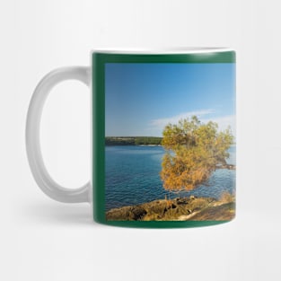 Medulin Coast in Istria, Croatia Mug